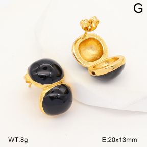 2E3004176abol-452  Stainless Steel Earrings