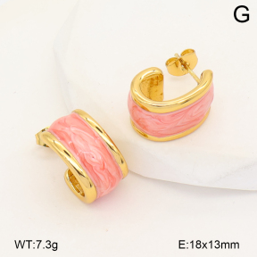 2E3004177vbpb-452  Stainless Steel Earrings
