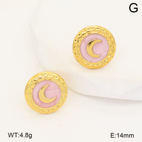 2E3004180vbnb-452  Stainless Steel Earrings