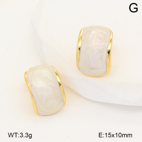 2E3004181vbnb-452  Stainless Steel Earrings