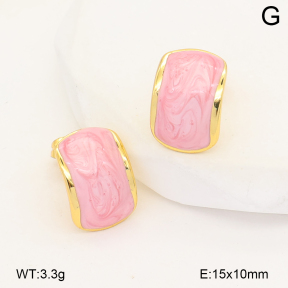 2E3004182vbnb-452  Stainless Steel Earrings