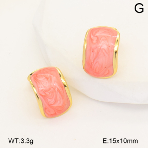 2E3004183vbnb-452  Stainless Steel Earrings