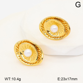 2E3004184abol-452  Stainless Steel Earrings