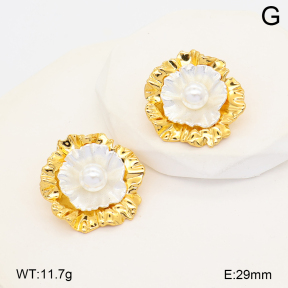 2E3004185bvpl-452  Stainless Steel Earrings