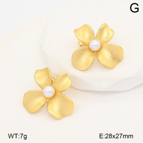 2E3004186bbov-452  Stainless Steel Earrings