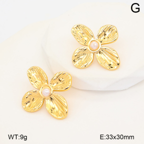 2E3004187vbnb-452  Stainless Steel Earrings