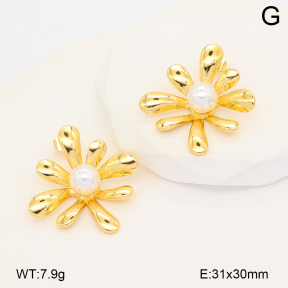 2E3004188vbnl-452  Stainless Steel Earrings