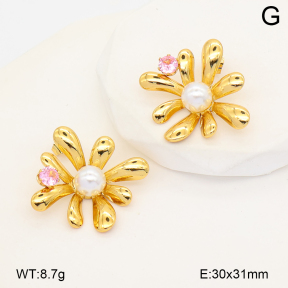 2E3004189abol-452  Stainless Steel Earrings