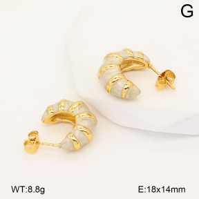 2E3004190vbpb-452  Stainless Steel Earrings