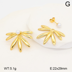2E3004191vbnl-452  Stainless Steel Earrings