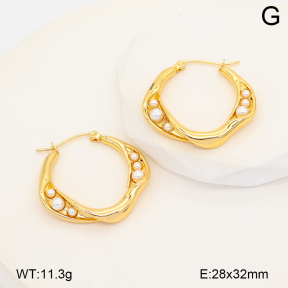 2E3004192vbpb-452  Stainless Steel Earrings