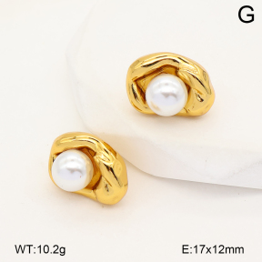 2E3004193bbml-452  Stainless Steel Earrings