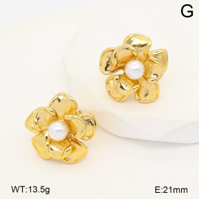 2E3004194abol-452  Stainless Steel Earrings
