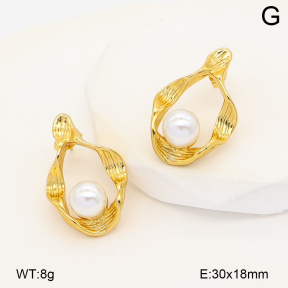 2E3004195vbpb-452  Stainless Steel Earrings