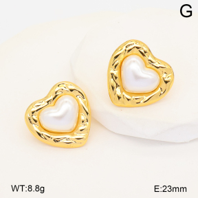 2E3004196bbml-452  Stainless Steel Earrings