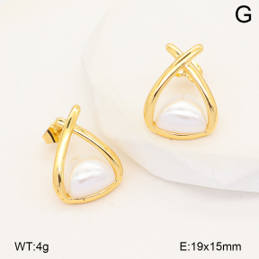 2E3004197abol-452  Stainless Steel Earrings