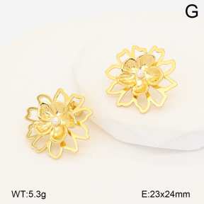 2E3004198abol-452  Stainless Steel Earrings