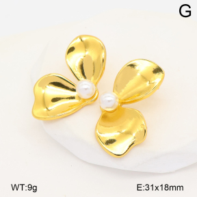 2E3004200vbnb-452  Stainless Steel Earrings
