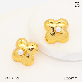2E3004201vbnl-452  Stainless Steel Earrings