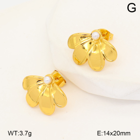 2E3004202bbml-452  Stainless Steel Earrings