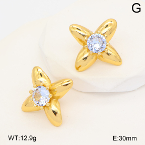 2E4005307vbpb-452  Stainless Steel Earrings
