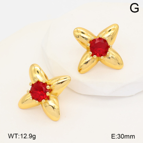 2E4005308vbpb-452  Stainless Steel Earrings