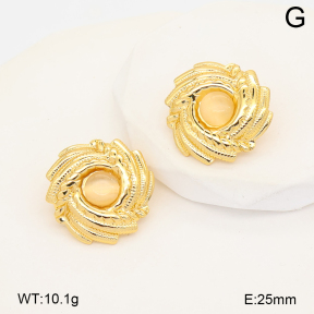 2E4005309vbnb-452  Stainless Steel Earrings