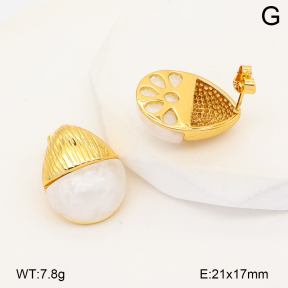 2E4005310abol-452  Stainless Steel Earrings