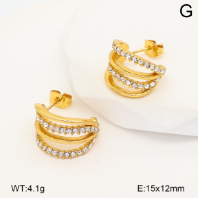 2E4005311abol-452  Stainless Steel Earrings