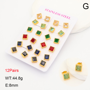 2E4005314ajvb-446  Stainless Steel Earrings
