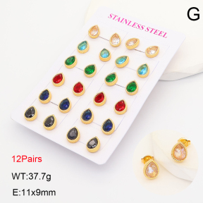 2E4005315ajvb-446  Stainless Steel Earrings