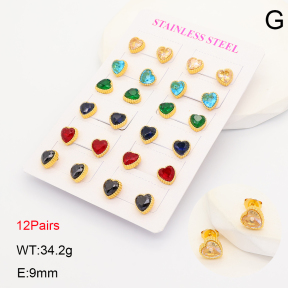 2E4005317ajvb-446  Stainless Steel Earrings