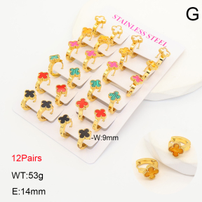 2E4005319ajvb-446  Stainless Steel Earrings