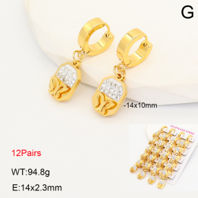 2E4005321akoa-446  Stainless Steel Earrings