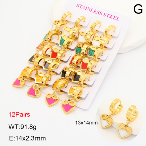 2E4005324akoa-446  Stainless Steel Earrings