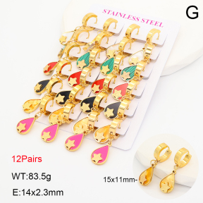 2E4005325akoa-446  Stainless Steel Earrings