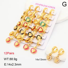 2E4005326akoa-446  Stainless Steel Earrings