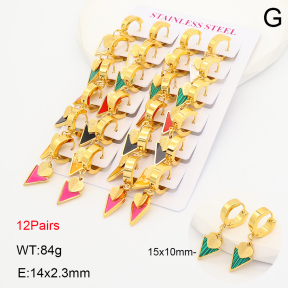 2E4005327akoa-446  Stainless Steel Earrings