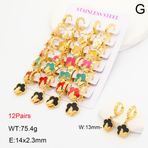 2E4005329akoa-446  Stainless Steel Earrings