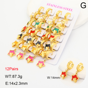 2E4005333akoa-446  Stainless Steel Earrings