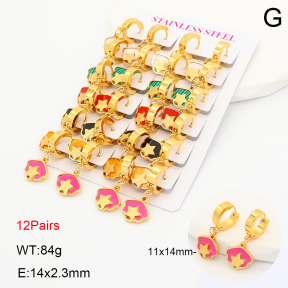 2E4005335akoa-446  Stainless Steel Earrings