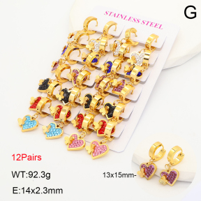 2E4005338akoa-446  Stainless Steel Earrings