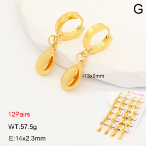 2E5000234ajvb-446  Stainless Steel Earrings