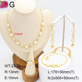F2S013473vhov-J22  Fashion Copper Sets