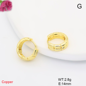 F6E200899baka-L017  Fashion Copper Earrings
