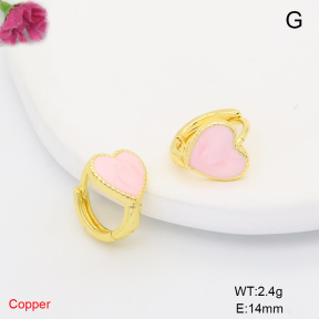 F6E302179ablb-L017  Fashion Copper Earrings