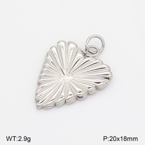 2P2006725ablb-769  Stainless Steel Pendant