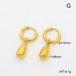 6E2007482vbnl-908  316 Pin 18K PVD  Stainless Steel Earrings