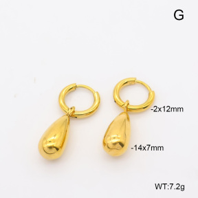 6E2007490vbnl-908  316 Pin 18K PVD  Stainless Steel Earrings