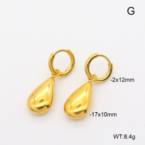 6E2007491vbnl-908  316 Pin 18K PVD  Stainless Steel Earrings